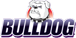 Bulldog